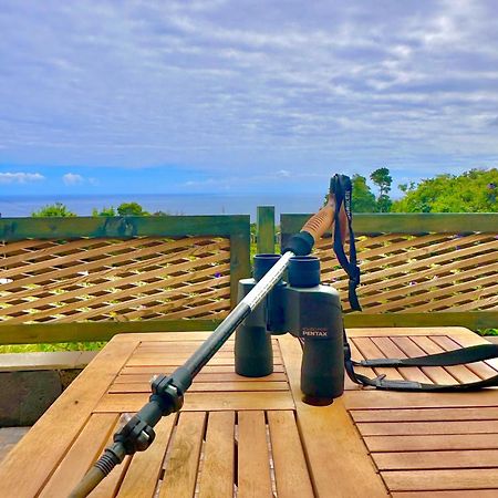 Flora E Fauna House Villa Biscoitos  Dış mekan fotoğraf